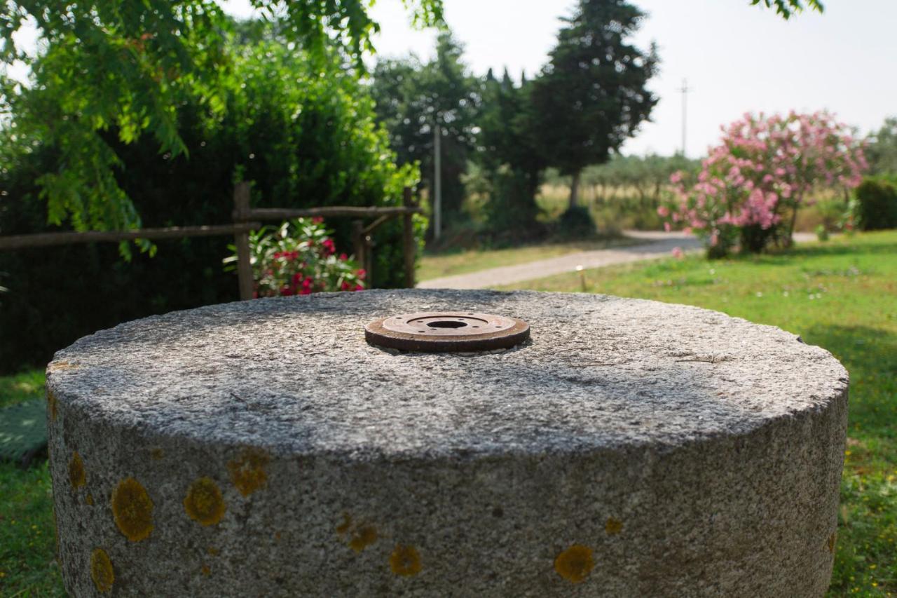 Tenuta Il Corno Agriturismo 산카시아노인발디파사 외부 사진